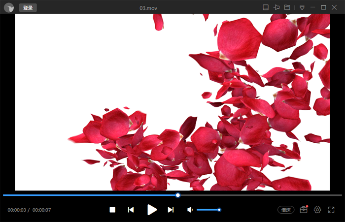 玫瑰花瓣转场视频素材